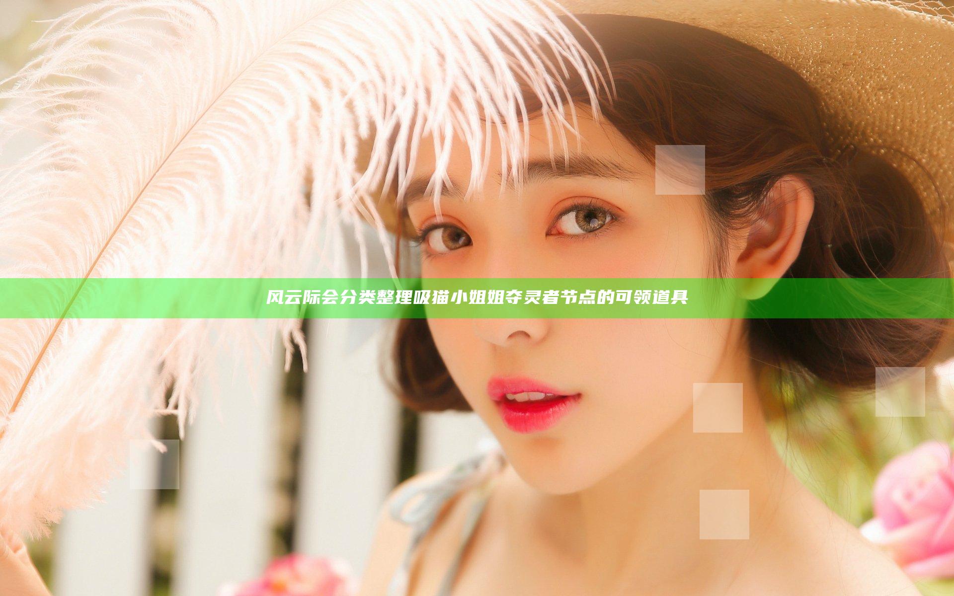 风云际会 分类整理吸猫小姐姐夺灵者节点的可领道具