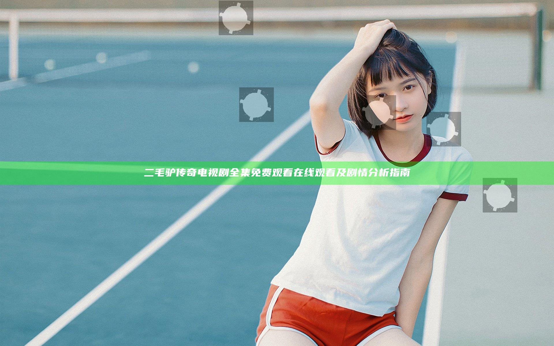 二毛驴传奇 电视剧全集免费观看 在线观看及剧情分析指南