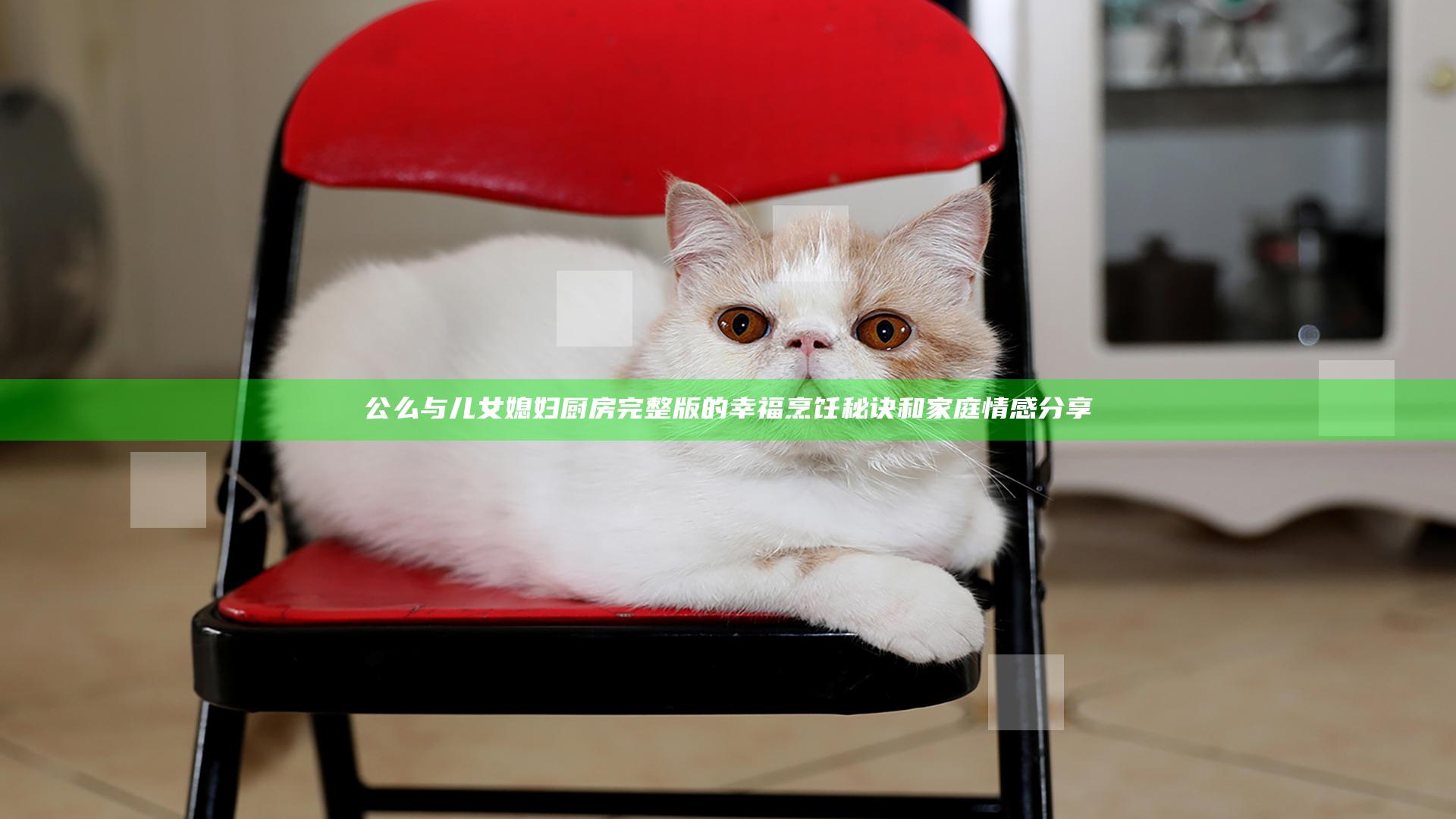 公么与儿女媳妇厨房完整版的幸福烹饪秘诀和家庭情感分享