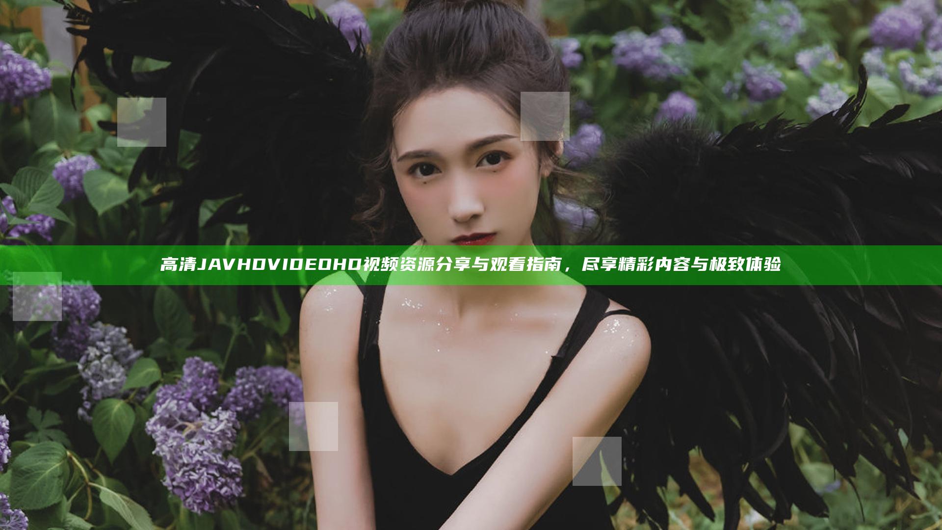高清JAV HD VIDEO HD视频资源分享与观看指南，尽享精彩内容与极致体验